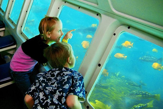 Catalina Island Day Trip From LAX Area Hotels With Undersea Adventure - Undersea Adventure Experience