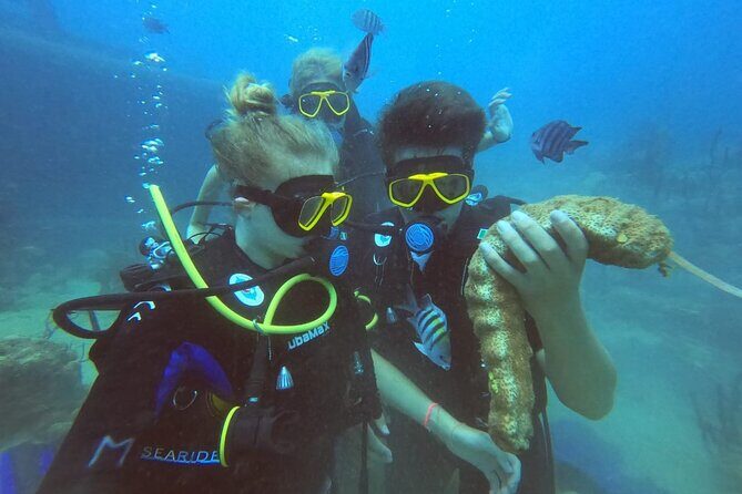 Catalina Island Diving - Practical and Planning Tips