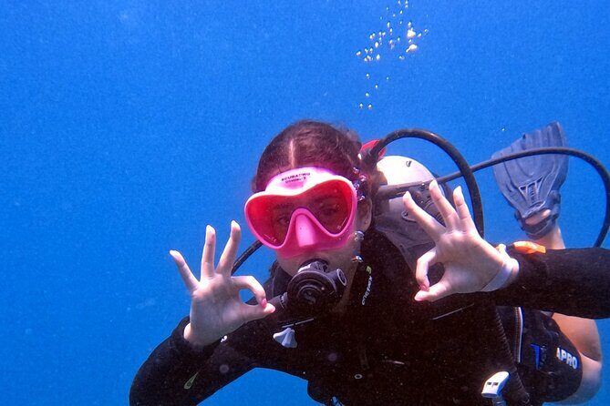 Catalina Island Diving - Is It Worth the Price?