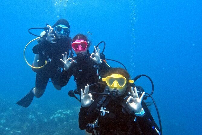 Catalina Island Diving - Final Thoughts