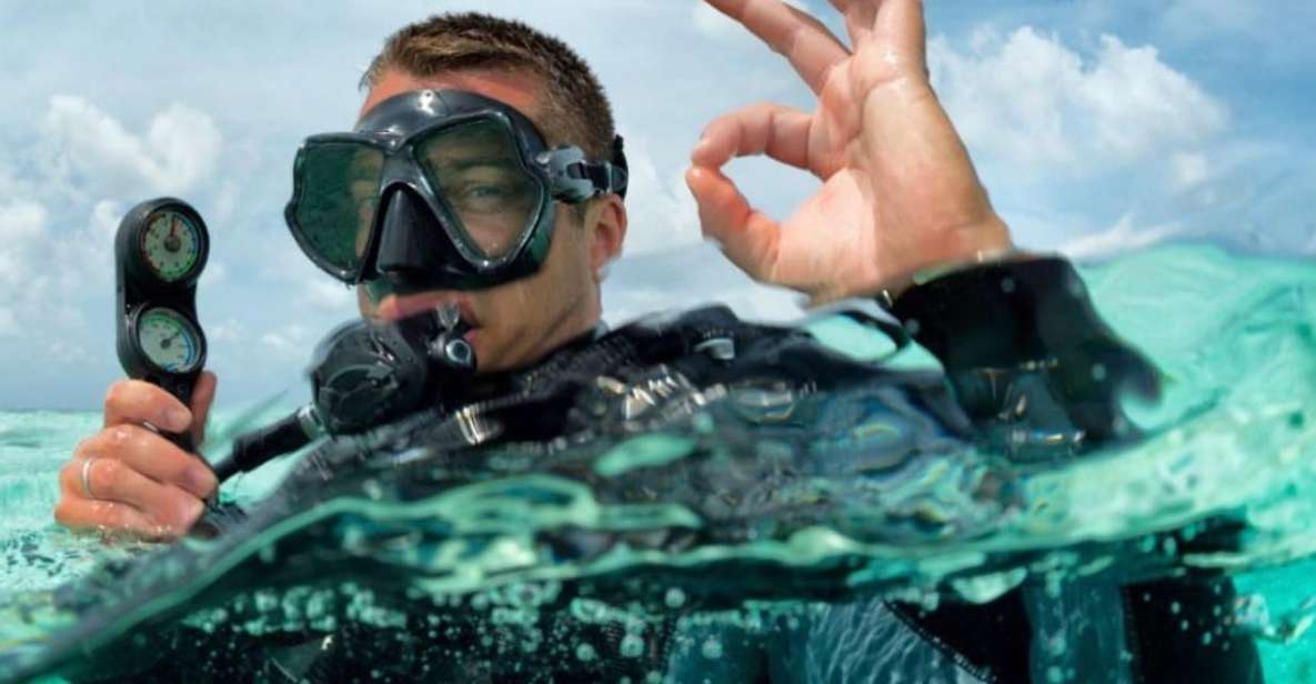 Catalina Island Diving From Punta Cana - Diverse Marine Life Awaiting