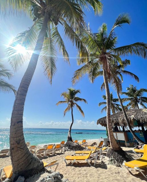 Catalina Island Diving From Punta Cana - Why Choose Catalina Island?