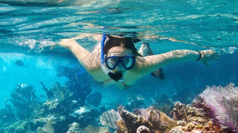 Catalina Island, even more pristine than Saona - Key Points