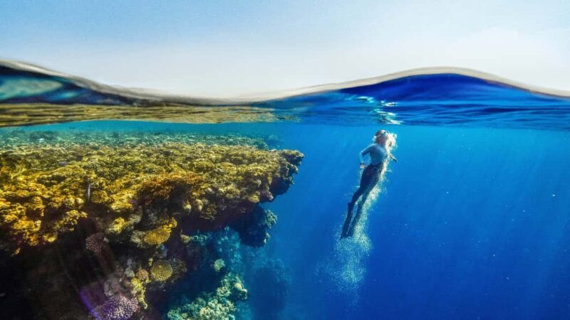 Catalina Island, even more pristine than Saona - Overview of the Experience