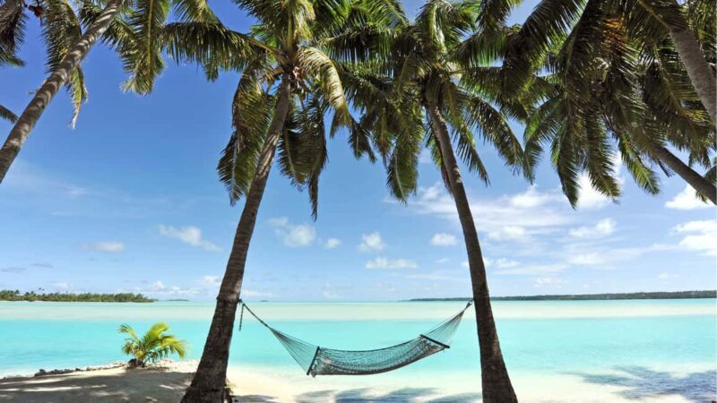 Catalina Island, even more pristine than Saona - What Travelers Are Saying