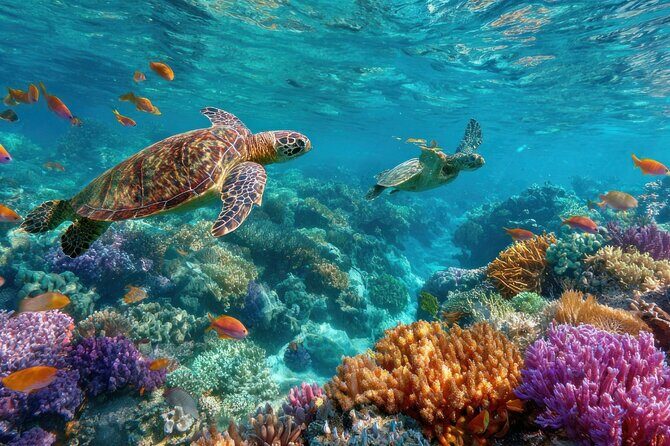 Catalina Island even more unspoilt than Saona Island - Key Points