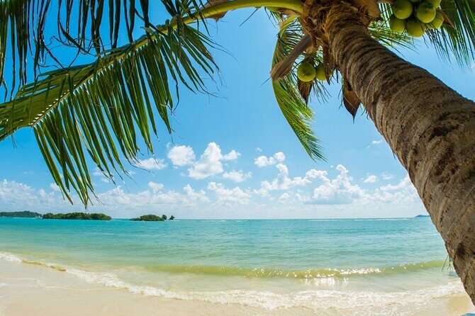 Catalina Island even more unspoilt than Saona Island - Starting the Day: The Pickup and Journey to La Romana