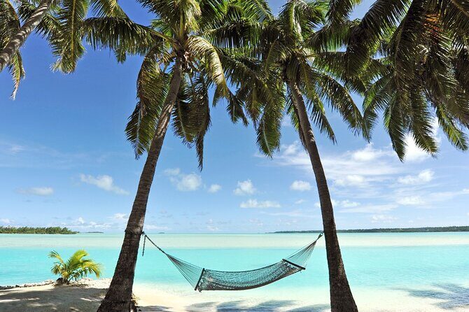 Catalina Island even more unspoilt than Saona Island - The Food and Drink Experience