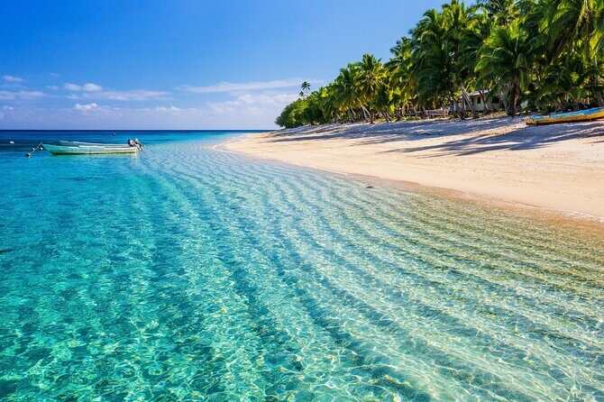 Catalina Island even more unspoilt than Saona Island - What Do Travelers Say?