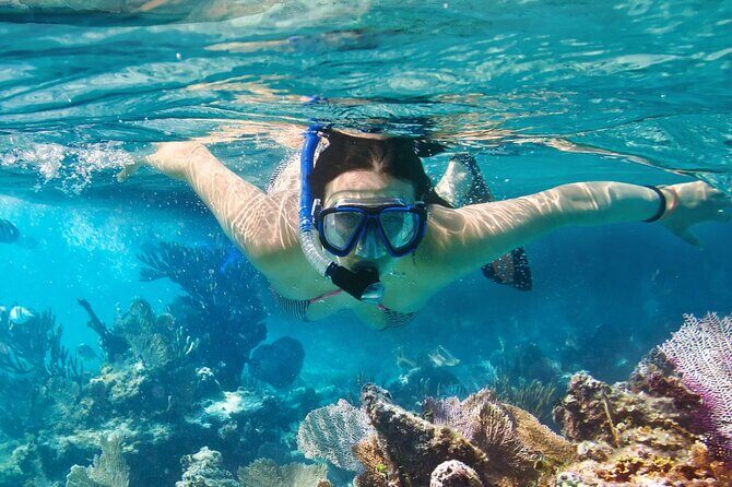 Catalina Island even more unspoilt than Saona Island - Practical Considerations and Value