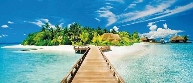 Catalina Island Full-Day Snorkeling + Lunch from Punta Cana - Final Thoughts