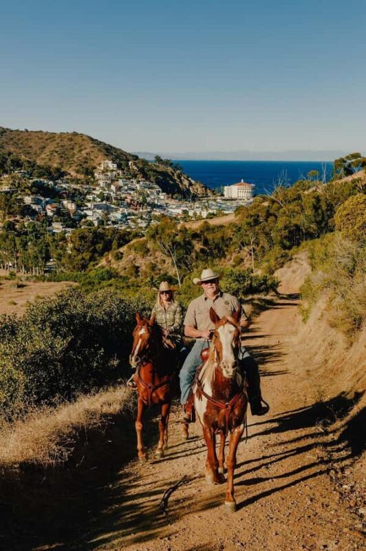 Catalina Island: Horse Trail Overlook Ride - An Overview of the Catalina Island Horse Trail Overlook Ride