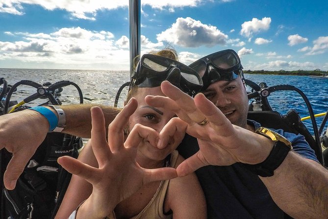 Catalina Island Scuba Diving - Amazing Full Day Tour! - Traveler Guidelines