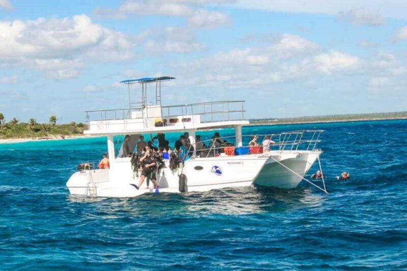Catalina Island Scuba Diving Tour from Punta Cana - Who Will Love This Tour?