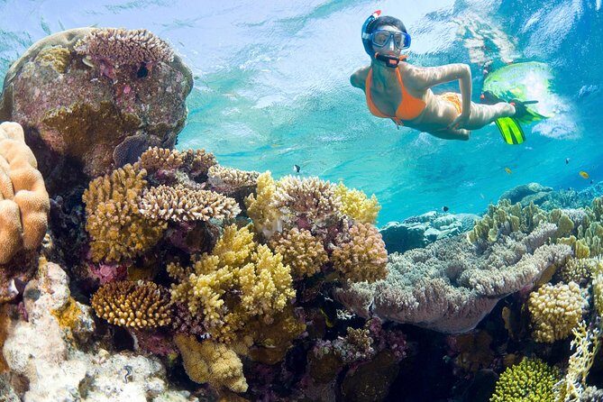 Catalina Island Snorkel Excursion from Punta Cana - An Overview of the Catalina Island Snorkel Tour
