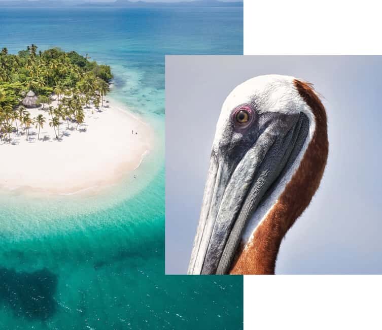 Catalina Island snorkeling Dominican Republic - Who Will Love This Experience?