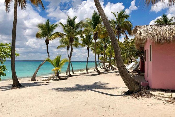 Catalina Island Snorkeling: Explore its Crystal Clear Waters - FAQs