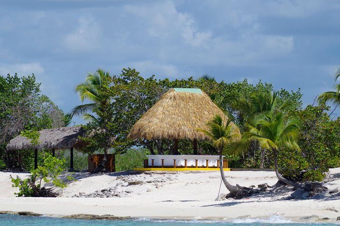 Catalina Island - Snorkeling tour on a luxury catamaran - The Sum Up