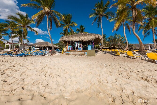 Catalina Island Tour - Is This Tour Worth the Price?