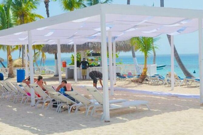 Catalina Island tour - Authentic Insights from Reviewers