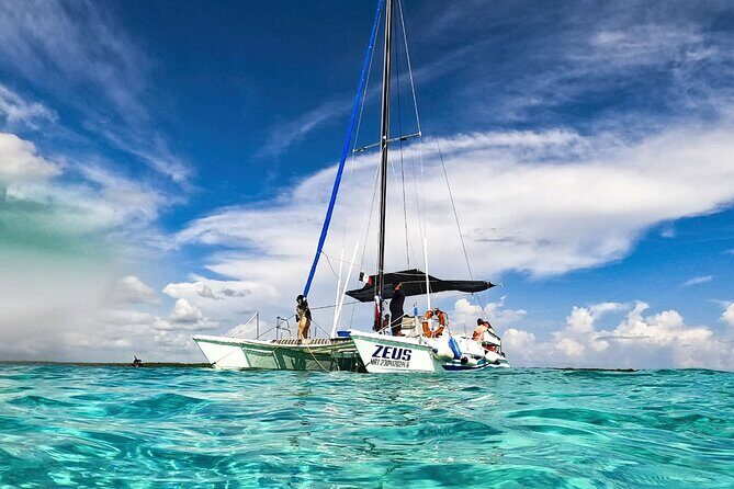 Catalina Island Tour with Lunch and Transportation Included - What Travelers Can Expect