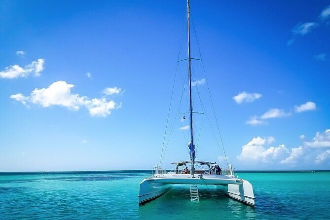 Catalina Island Tour with Lunch and Transportation Included - Authentic Experiences and Highlights