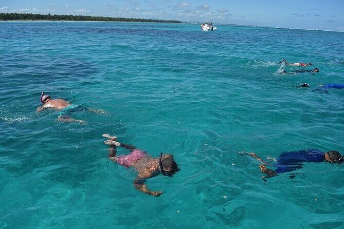 Catalina Island Tour with Lunch and Transportation Included - Practical Details and Considerations