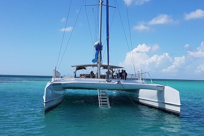 Catalina Island Tour with Lunch and Transportation Included - FAQs