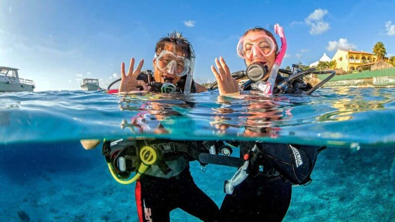 Catalina Island Tour with Snorkelling and Lunch - Key Points