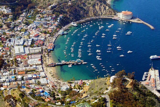 Catalina Island W/Discover Avalon Scenic Tour & Hotel Transfers - Pricing and Cancellation Policy