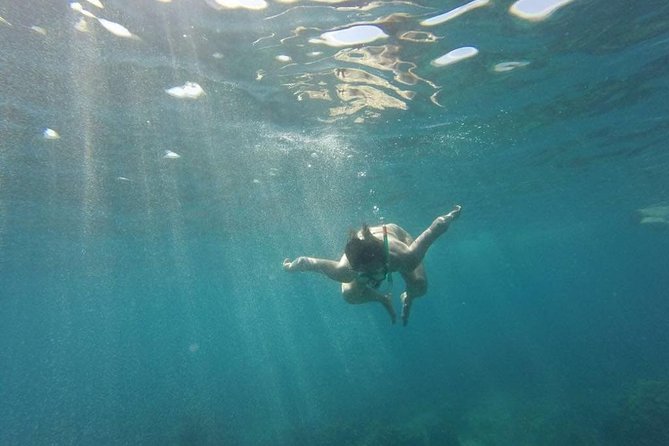 Catalina Island With Snorkel - Pickup Information