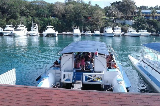 Catalina Island With Snorkel - Highlights of Catalina Island