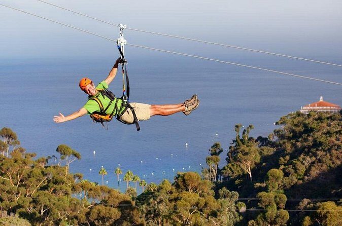 Catalina Island Zip Line Eco Tour - What Past Travelers Say