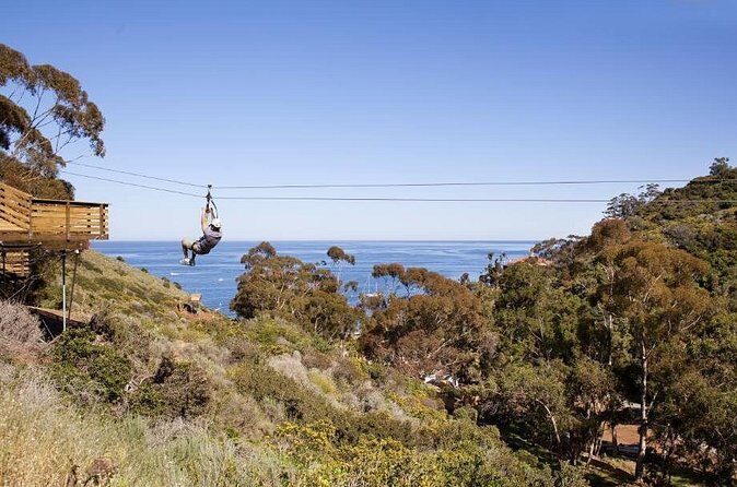 Catalina Island Zip Line Eco Tour - FAQ