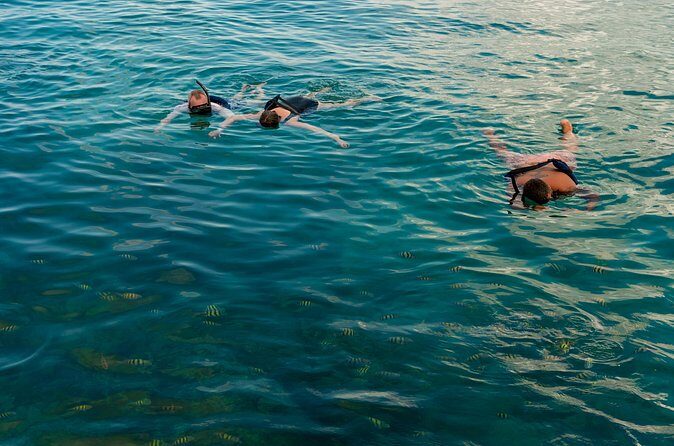 Catalina Sailing Experience in Punta Cana with Food and Drinks - FAQ