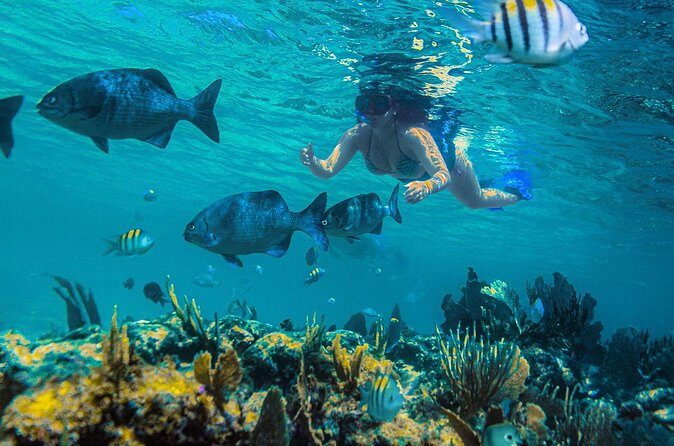 Catamaran along the Riviera Maya Snorkel food and open bar - FAQ