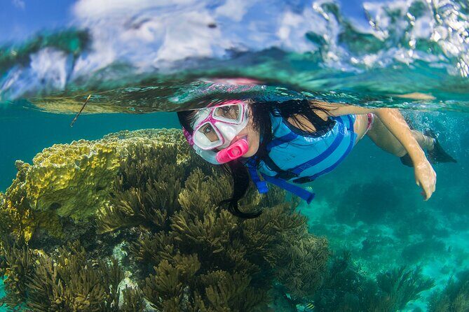 Catamaran Cruise from Costa Mujeres with Snorkeling and Lunch - Key Points