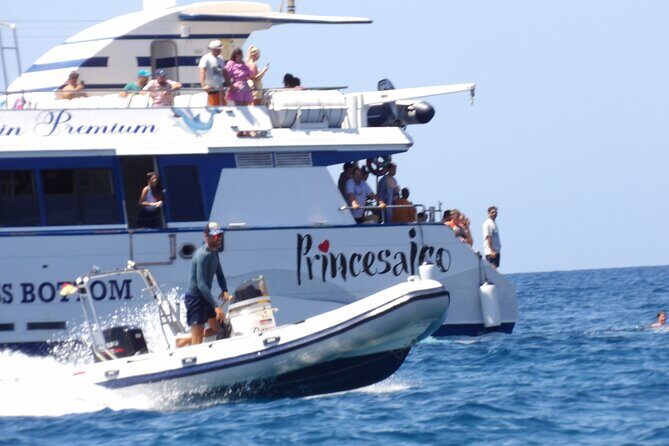 Catamaran Cruise from Puerto Rico (Full package) - Who Will Love This Tour?