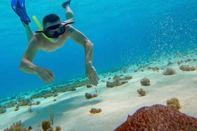 Catamaran Cruise to Cozumel Reefs + Water Park Fun - Who Is This Tour Best For?