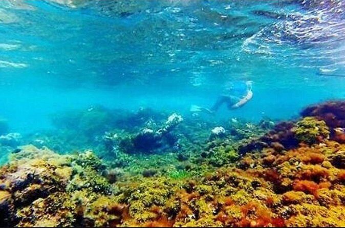 Catamaran Cruise with Dunns River Falls from Montego Bay - The Experience in Detail