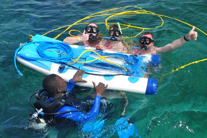Catamaran Cruise With Snorkeling - Inclusions and Exclusions