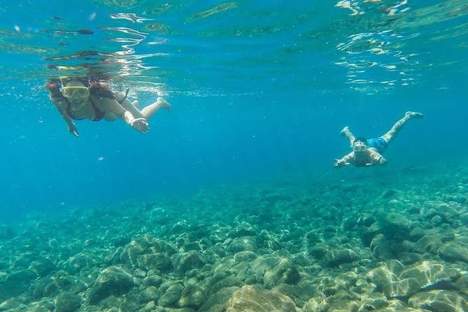 Catamaran Day Cruise to Desertas Islands From Funchal - Island Exploration and Activities