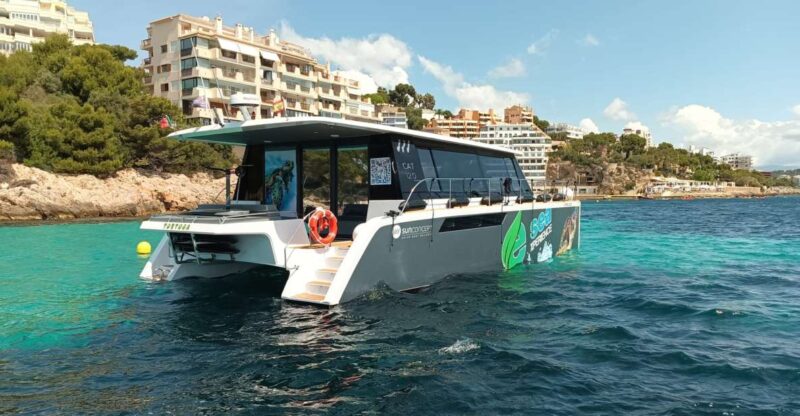 CATAMARAN ECO EXPERIENCE at Palma Bay - Onboard Activities and Amenities