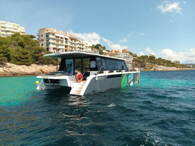 CATAMARAN ECO EXPERIENCE at Palma Bay - Customer Feedback and Ratings