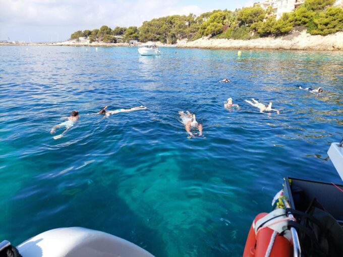 CATAMARAN ECO EXPERIENCE at Palma Bay - Frequently Asked Questions