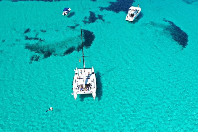 Catamaran Excursions in the Asinara Island National Park - Guest Reviews and Ratings