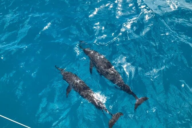 Catamaran Full-Day 3 Island Northern Isles Cruise in Grand Baie - Snorkeling and Swimming