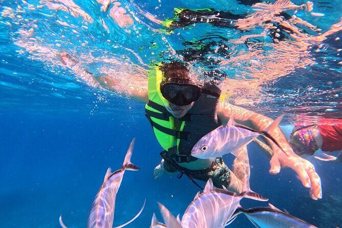 Catamaran in Cozumel with snorkeling at El Cielo and open Bar - Practical Details and Tips