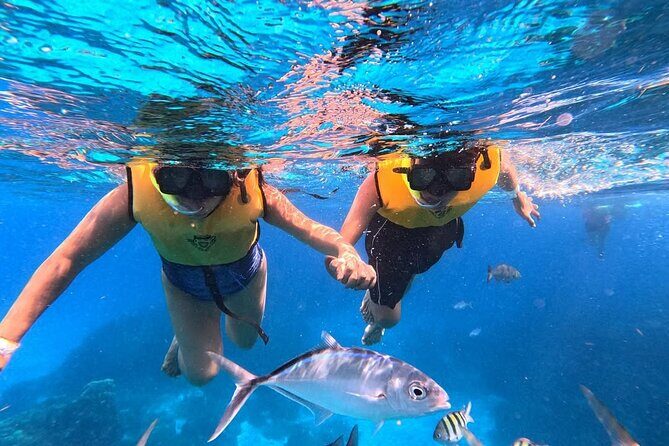 Catamaran in Cozumel with snorkeling at El Cielo and open Bar - The Sum Up