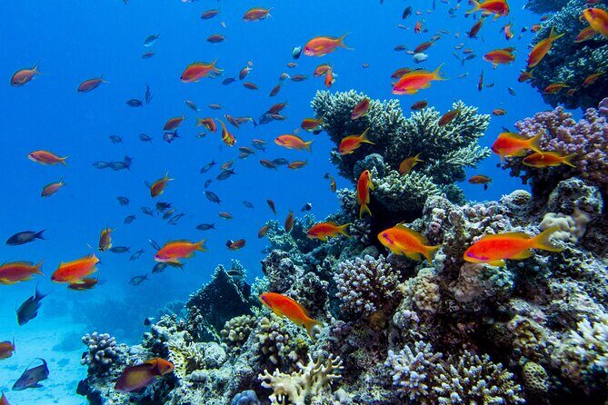 Catamaran On Islas Marietas - With Open Bar - Frequently Asked Questions